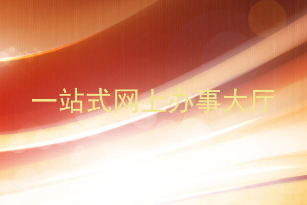 一站式网上办事大厅