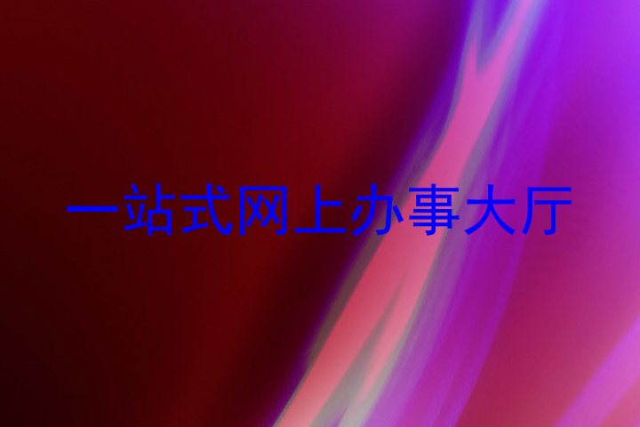 一站式网上办事大厅