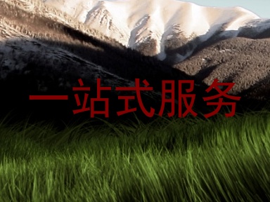 一站式服务