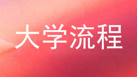 大学流程