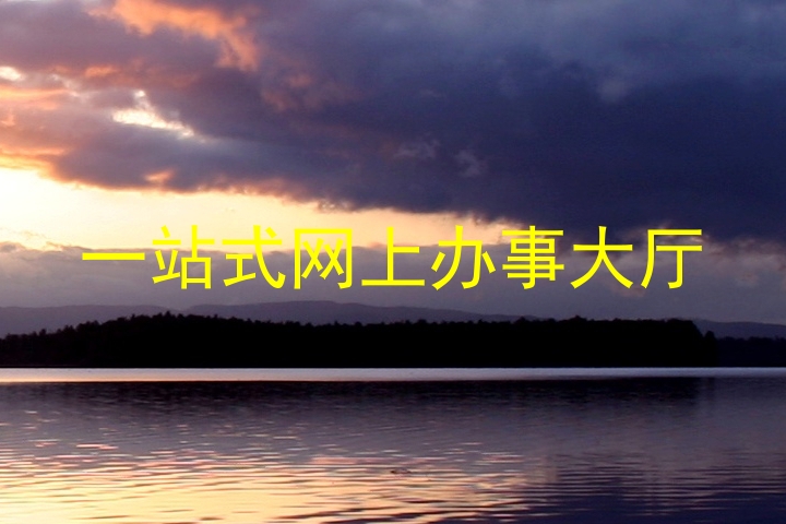 一站式网上办事大厅