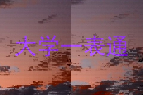 大学一表通