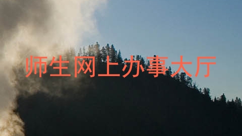 师生网上办事大厅