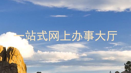 一站式网上办事大厅