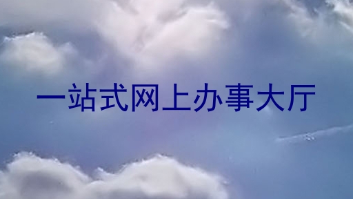 一站式网上办事大厅