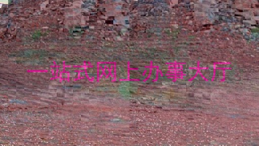 一站式网上办事大厅