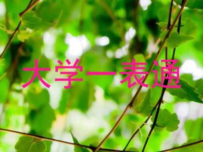 大学一表通