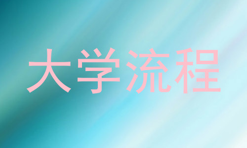 大学流程
