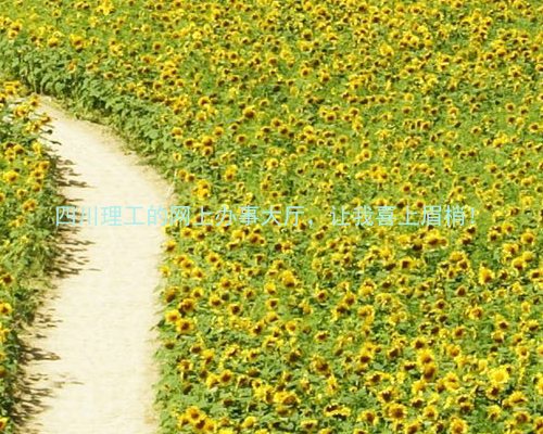 四川理工的网上办事大厅,让我喜上眉梢!