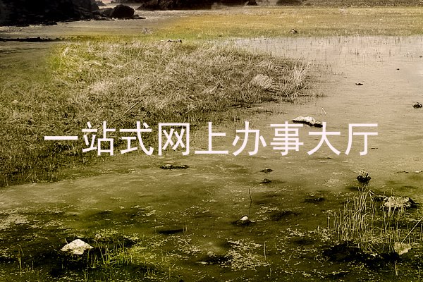 一站式网上办事大厅