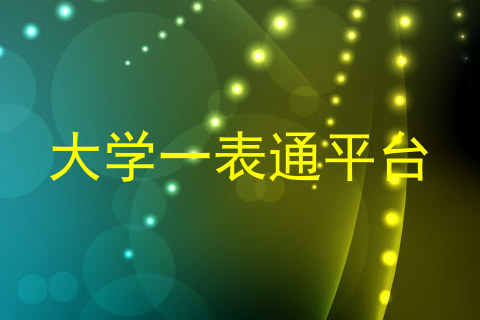 大学一表通平台