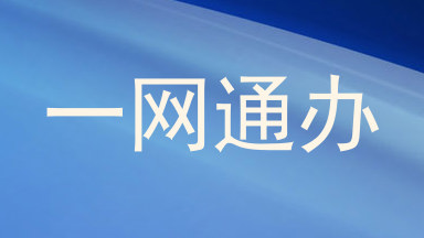 一网通办