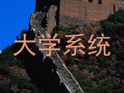 大学系统