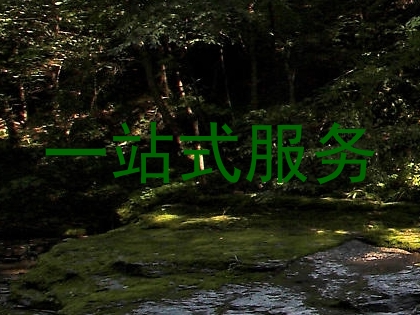 一站式服务