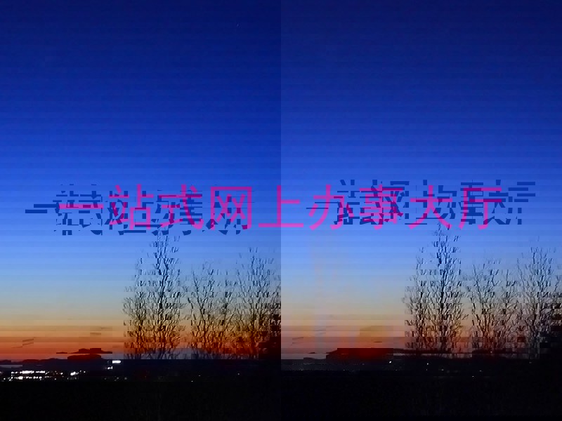 一站式网上办事大厅