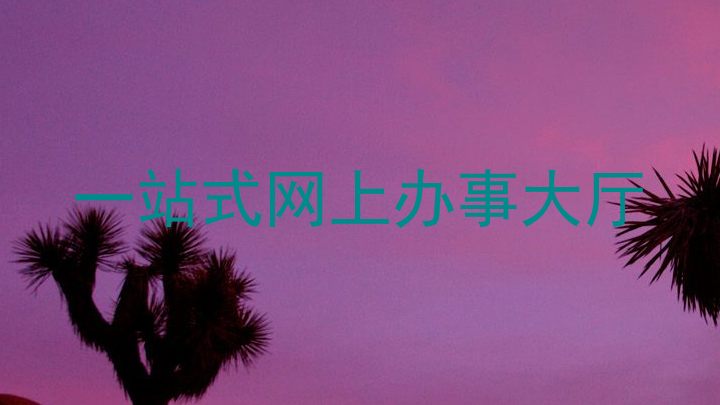 一站式网上办事大厅