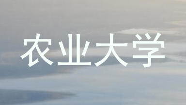 农业大学
