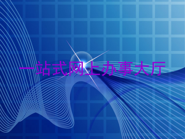 一站式网上办事大厅