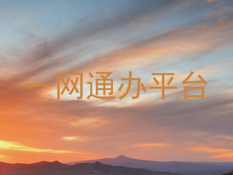 一网通办