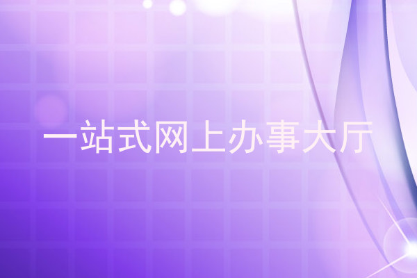 一站式网上办事大厅