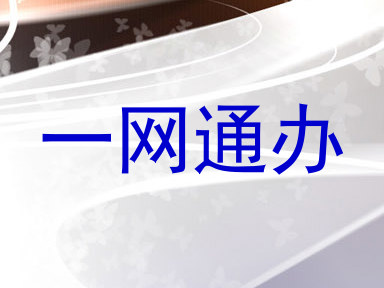 一网通办