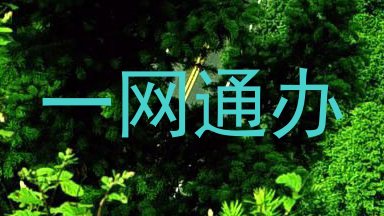 一网通办