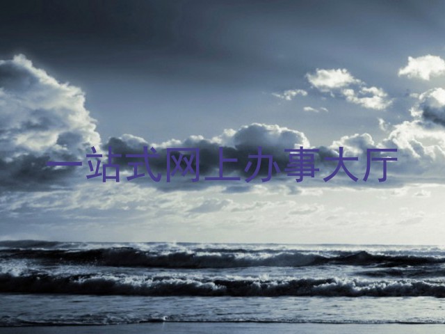 一站式网上办事大厅