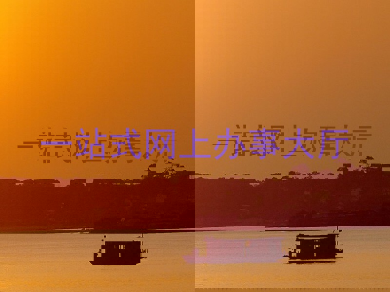 一站式网上办事大厅