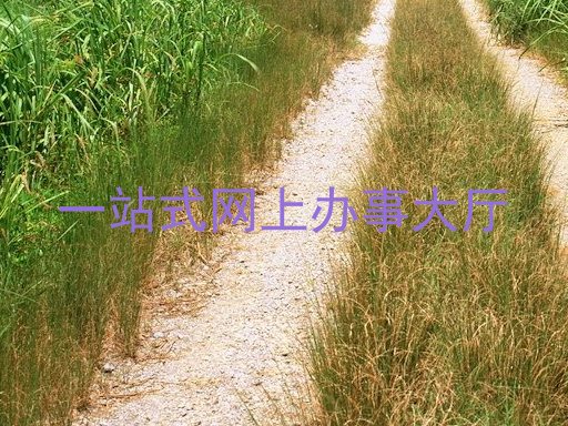 一站式网上办事大厅