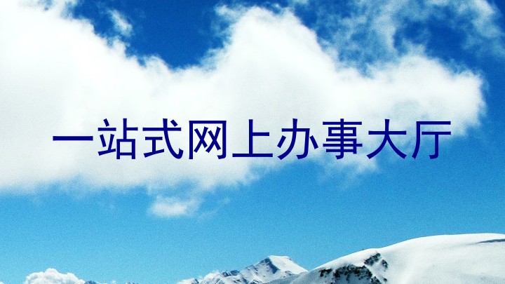 一站式网上办事大厅