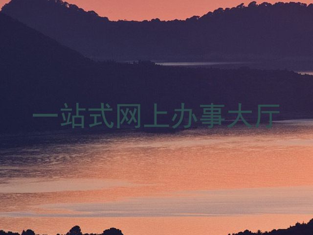 一站式网上办事大厅