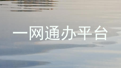 一网通办平台