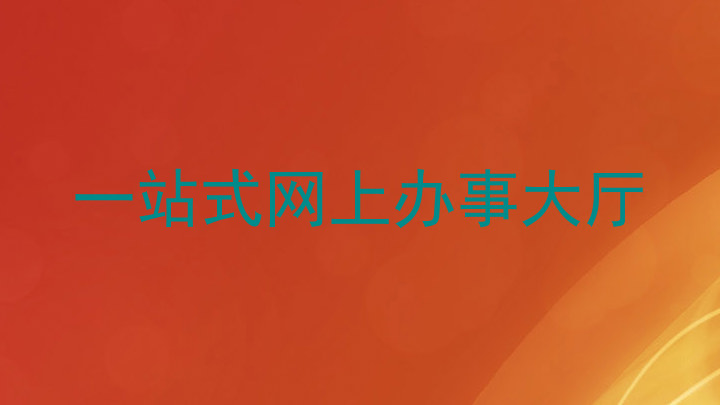 一站式网上办事大厅