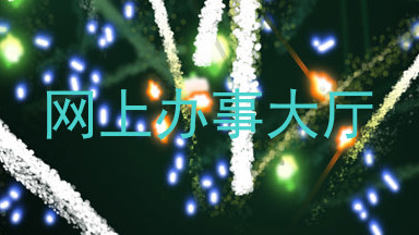 网上办事大厅