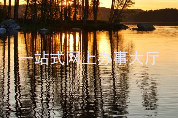 一站式网上办事大厅