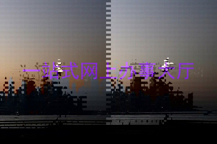 一站式网上办事大厅