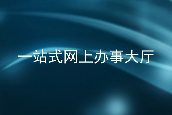 一站式网上办事大厅