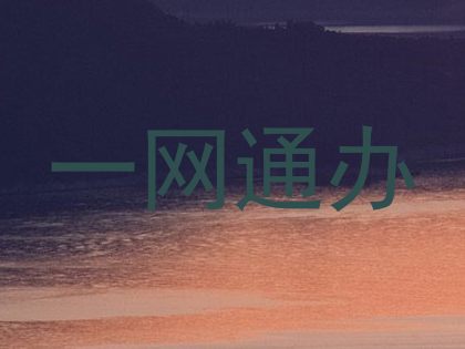一网通办