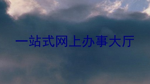 一站式网上办事大厅