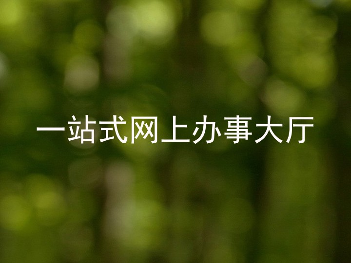 一站式网上办事大厅