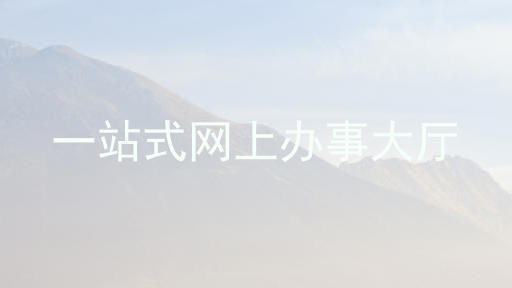 一站式网上办事大厅