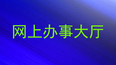 网上办事大厅