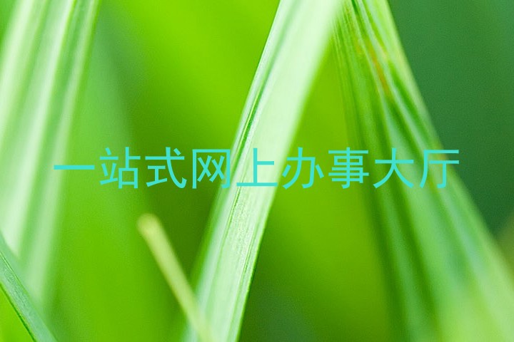 一站式网上办事大厅