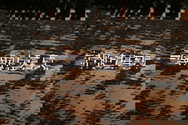 一站式网上办事大厅