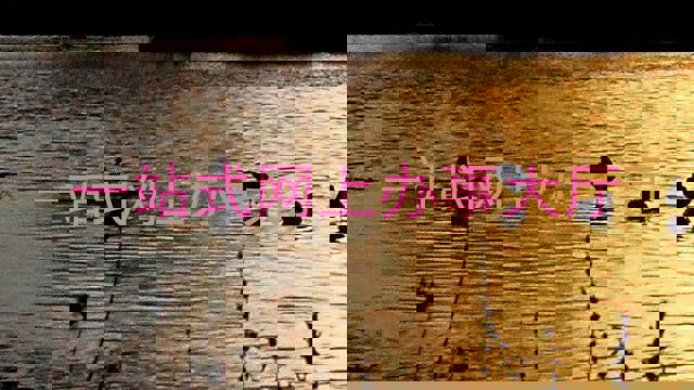 一站式网上办事大厅