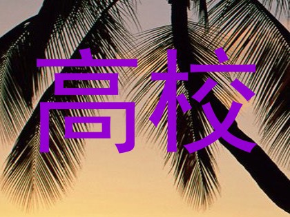 高校