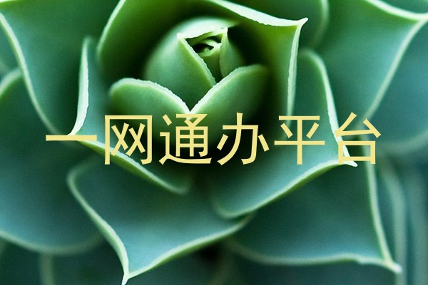 一网通办平台