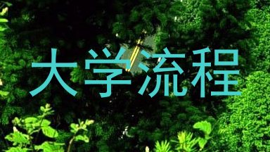 大学流程