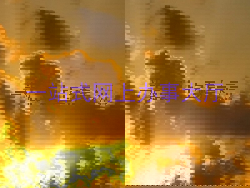 一站式网上办事大厅