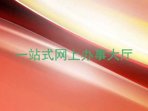 一站式网上办事大厅